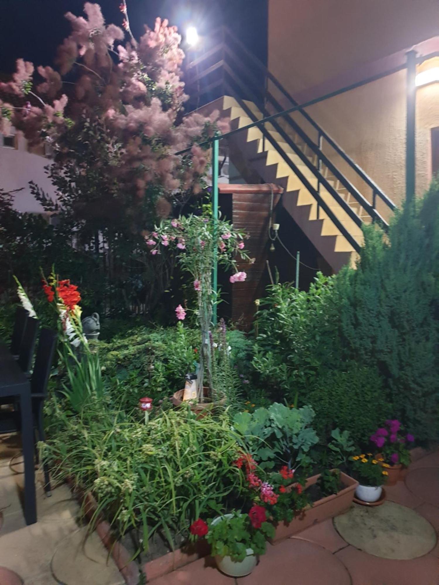 Casa Mary Hotel คอสติเนช ภายนอก รูปภาพ